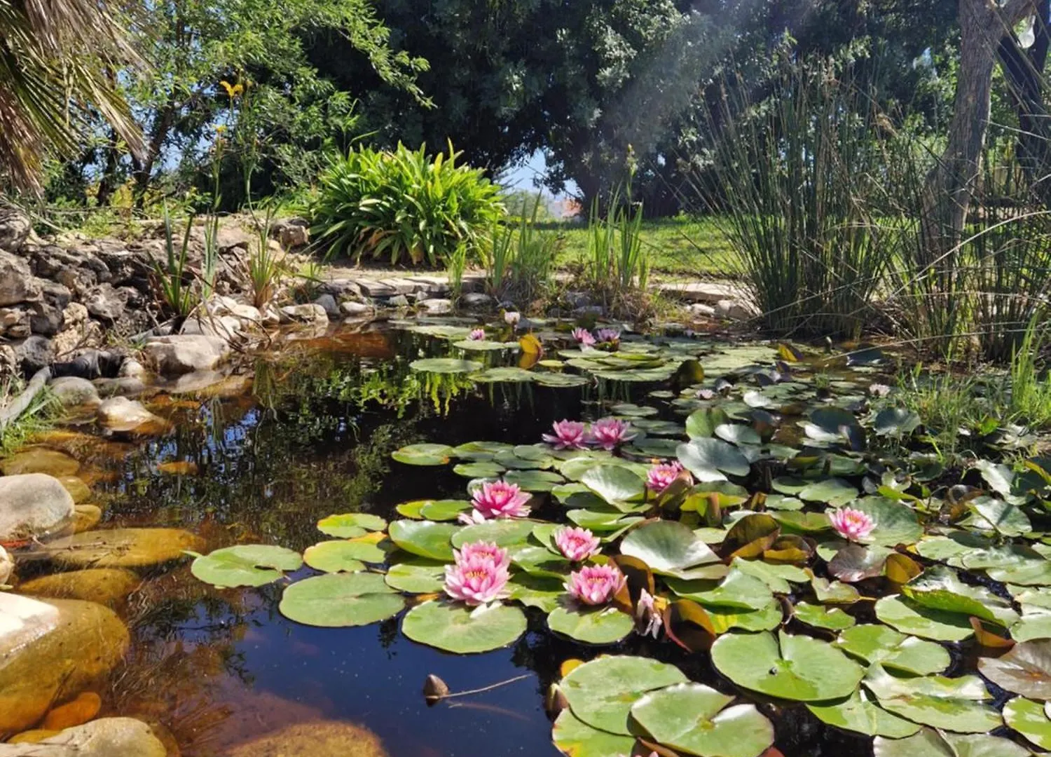 Cortijo Nerja Artist Paradise